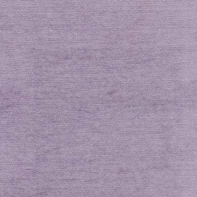 Scott-13-Lavender